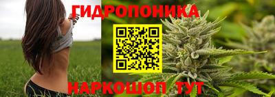 Альфа ПВП Кунгур