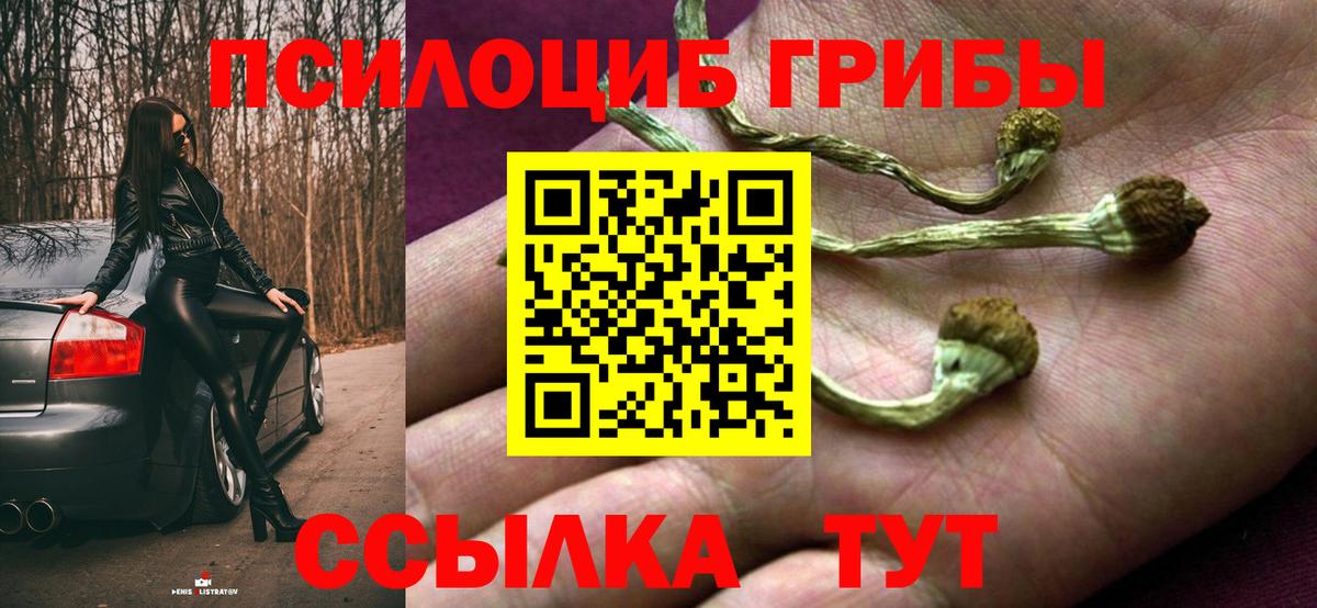 Галлюциногенные грибы Cubensis  Вход с VPN  Бирск 