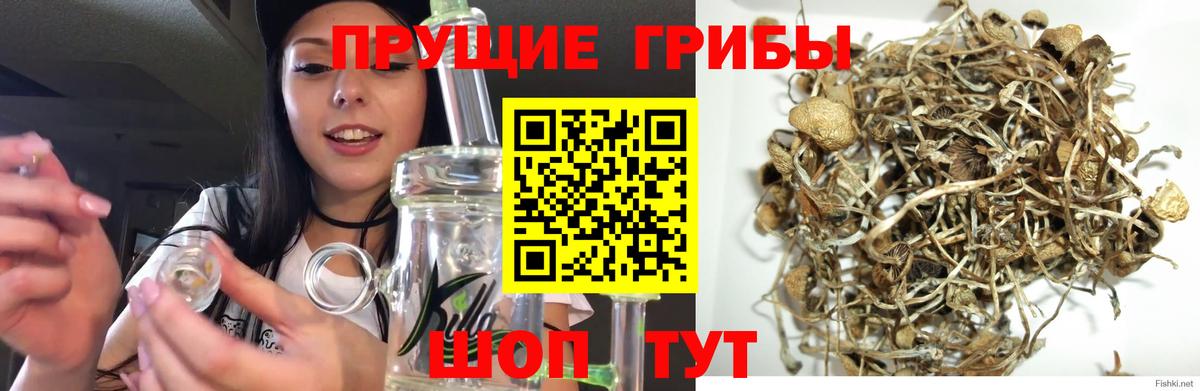 Псилоцибиновые грибы мухоморы Бирск
